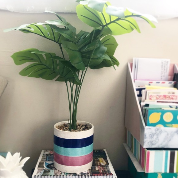 Faux Monstera Deliciosa Plant in Colorful Pot - Picture 3 of 15